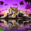 Diamond painting - Tiger (lilla) 40x40 cm thumbnail