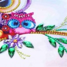 Diamond painting - Big eys Owl 30x30 cm thumbnail