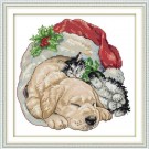  Korssting pakke - Christmas cat and dog 25x25cm thumbnail