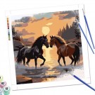 Paint by numbers - Hester 30x30cm thumbnail