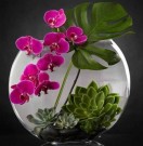 Diamond painting - Orkidè - Phalaenopsis 40x40 cm thumbnail