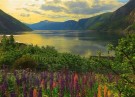 Ravensburger puslespill - Fjord i Norge 1000 thumbnail