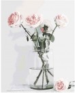 Paint by numbers - Roser thumbnail