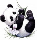 Diamond painting - Panda 40x40 cm thumbnail