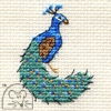 Mini korssting - Peacock thumbnail