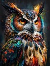 Paint by numbers - ugle 40x50cm thumbnail