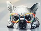 Paint by numbers - Hund med brille 40x50cm thumbnail