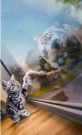 Diamond painting - Kattunge/hvit tiger 45x60cm thumbnail