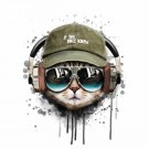 Paint by numbers - kul katt thumbnail