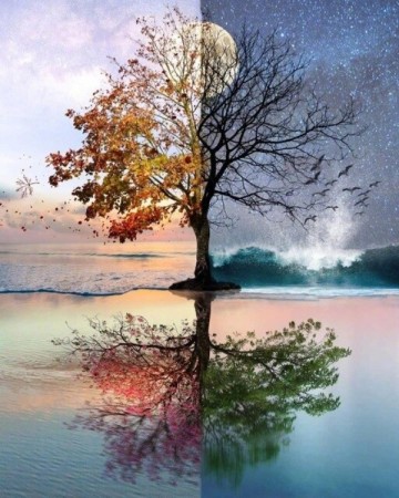 Diamond painting - Beautyful tree 40x60 cm