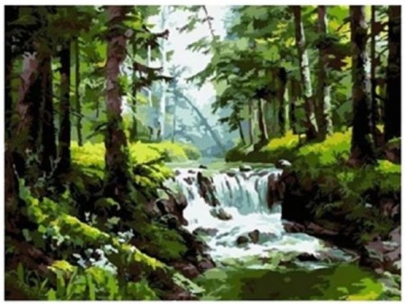 Paint By Numbers - Skogen 40x50cm (pt)