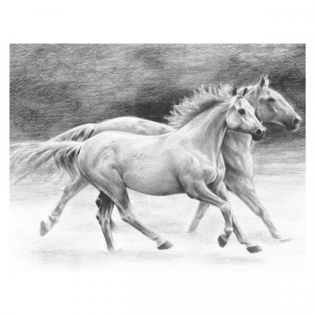 Sketching - Løpende hester