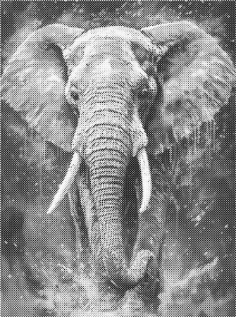 Dots painting - elefant 30x40cm