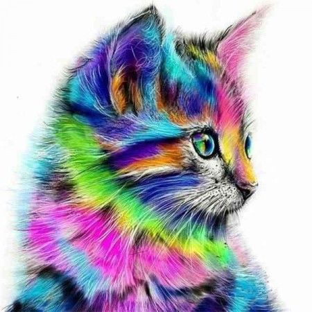 Paint By Numbers - Colorful cat (1) 40x50cm