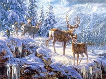 Diamond Painting - Hjorter i skogen 50x40cm