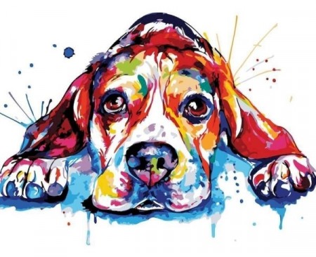 Paint By Numbers - Colorful dog 40x50cm