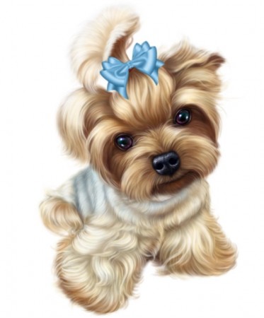 Diamond painting - Yorkie med sløyfe 30x40 cm