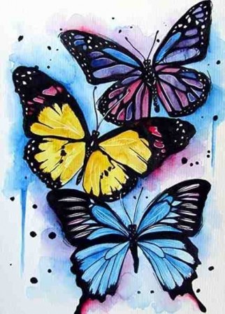 Diamond painting  - 3 Butterflies 40x50 cm