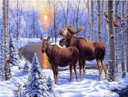Diamond Painting - Elger i skogen 40x50cm