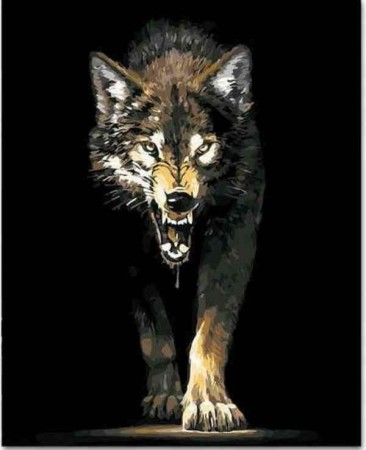 Paint By Numbers - Black Wolf 40x50cm