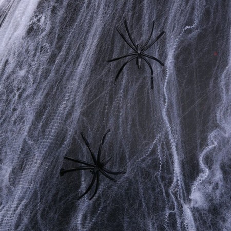 Edderkoppspinn m/ 2 edderkopper
