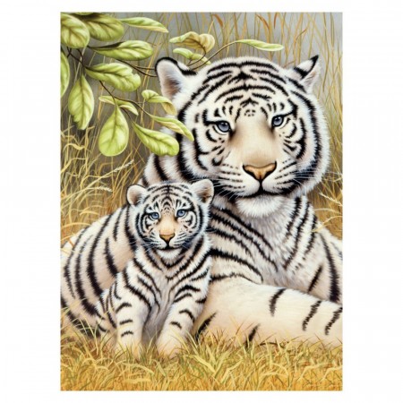 Paint By Numbers - Hvit tiger