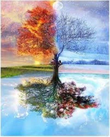 Diamond painting - Beautyful tree 40x50 cm