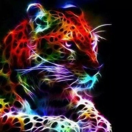 Diamond painting - Colorful Gepard 40x50 cm
