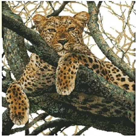 Korssting pakke - Gepard  52x52cm (Påtegnet) 14CT
