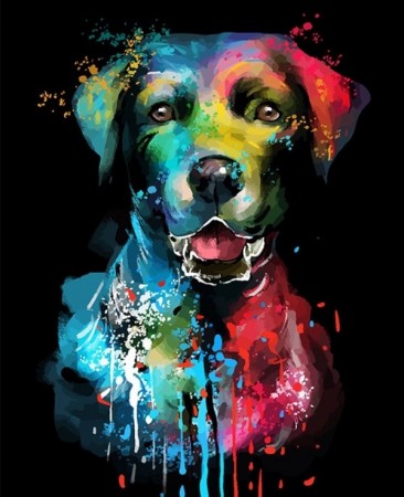 Paint by numbers - Fargerik hund 40x50cm