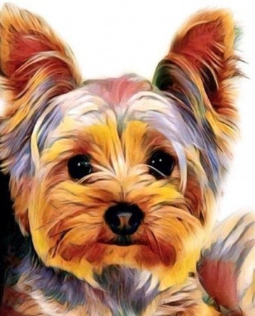 Diamond painting - Yorkshire Terrier 30x40 cm