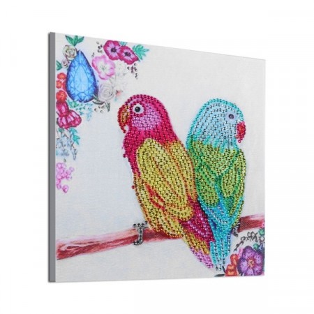 Diamond painting - Parrot 19x19 cm