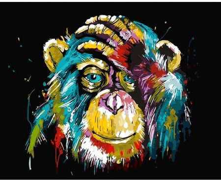 Paint by numbers - Fargerik ape 40x50cm