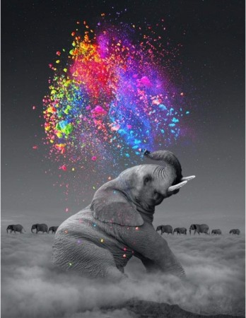 Paint by numbers - Elephant heard 40x50cm