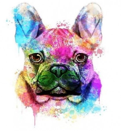 Paint by numbers - Watercolor Bulldog 40x50cm