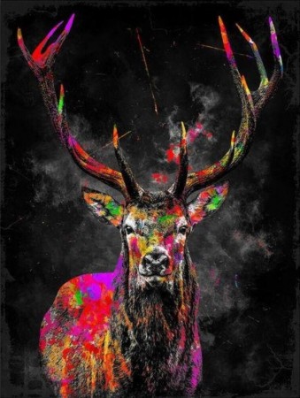 Diamond painting - Colorful Deer 40x50cm