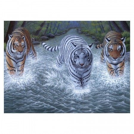 Paint By Numbers - 3 Tigere