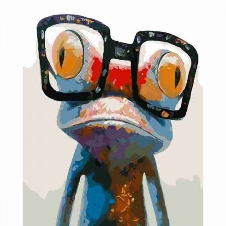 Paint by numbers - Funny frog 40x50cm