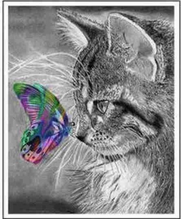 Diamond painting  - Katt og fargerik sommerfugl 40x50 cm