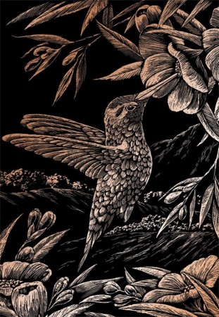 Skrape kunst - Kolibri motiv på kobber folie.
