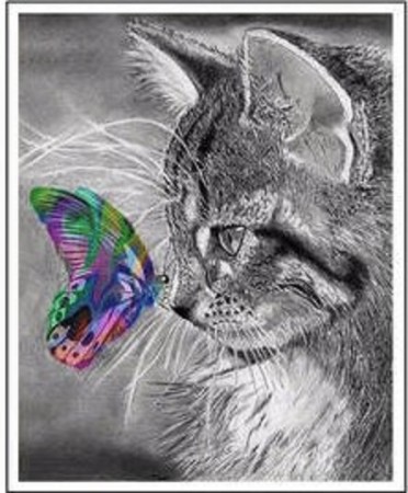 Diamond painting - Katt og fargerik sommerfugl 40x50 cm