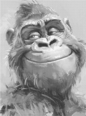 Dots painting - Selvsikker ape 30x40cm