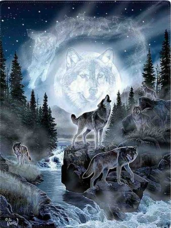Diamond painting  - Wolfs 40x50 cm