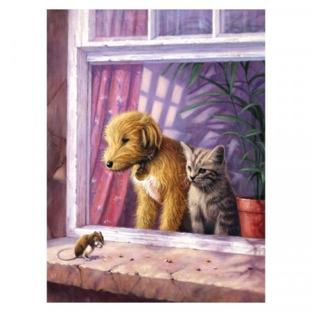 Paint By Numbers - Window Watching