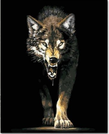 Paint By Numbers - Black Wolf 40x50cm
