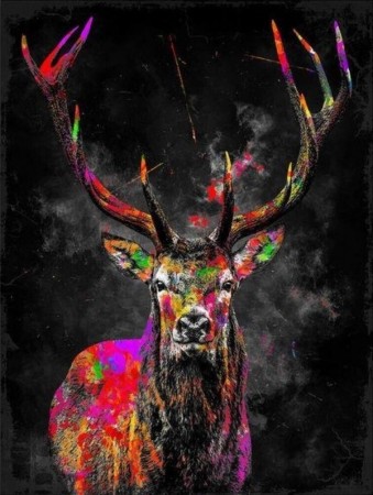 Paint by numbers - Colorful Deer (1) 40x50cm