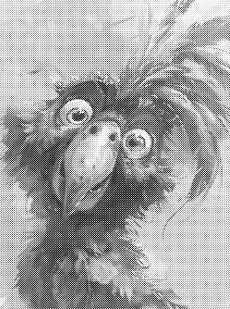 Dots painting - Morsom kakadue 30x40cm