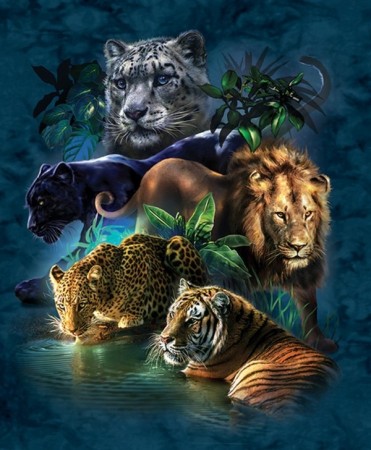 Diamond Painting - Wildlife 40x50cm