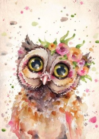 Diamond painting - Ugle 20x30 cm