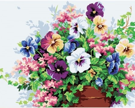Paint By Numbers - Violer 40x50cm